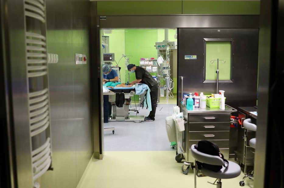 Pierwsza w Polsce operacja wszczepienia implantu pniowego u małego dziecka - 6
