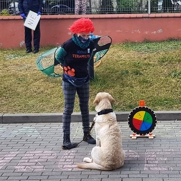 KynoEkipa na dziedzińcu Szpitala