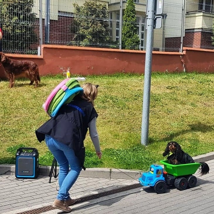 KynoEkipa na dziedzińcu Szpitala