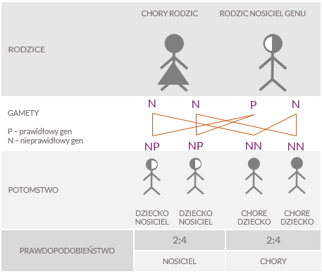 Grafika dziedziczenia mukowiscydozy