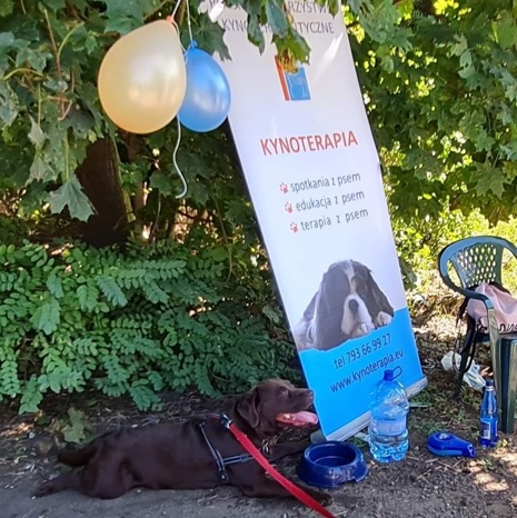 baner kynoterapii,  promujący edukację i terapię z psem.