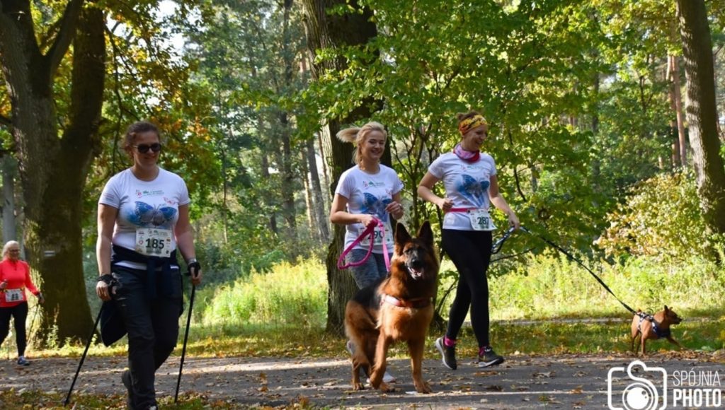 Uczestnicy na trasie 2. Bydgoskiego Biegu po Oddech