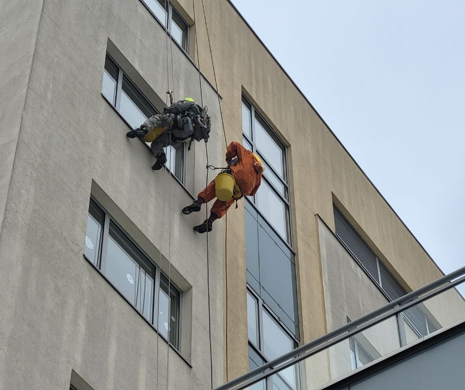  Dwóch alpinistów – jeden w wojskowym stroju moro, drugi w stroju pomarańczowego tygrysa spuszczają się na linach po budynku szpitala, myjąc okna sal chorych