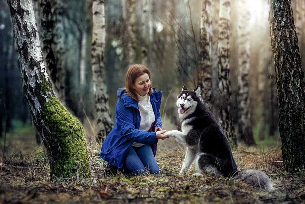Kobieta w niebieskiej kurtce bawi się z huskym w lesie, otoczonym drzewami.